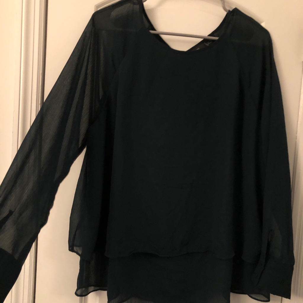 Sheer Work Blouse